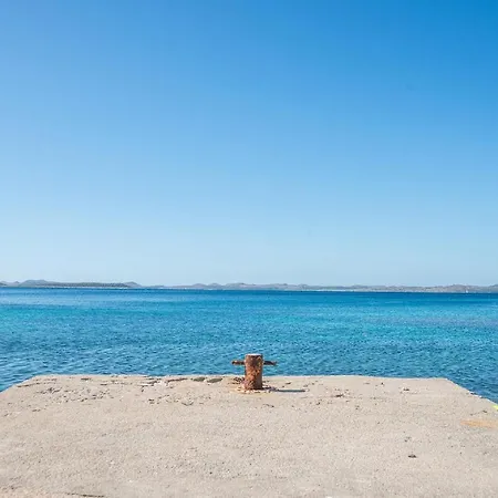 House Pine Shadow * Пашман