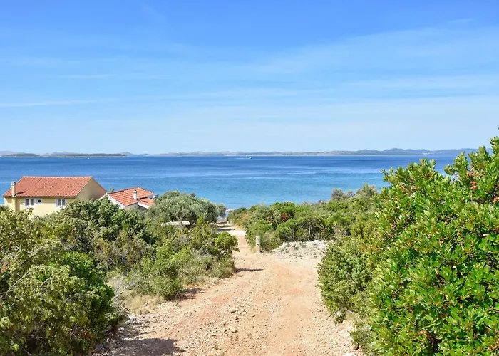 House Pine Shadow Vikendica *