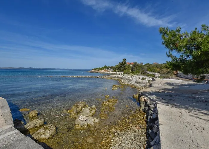 House Pine Shadow Vikendica