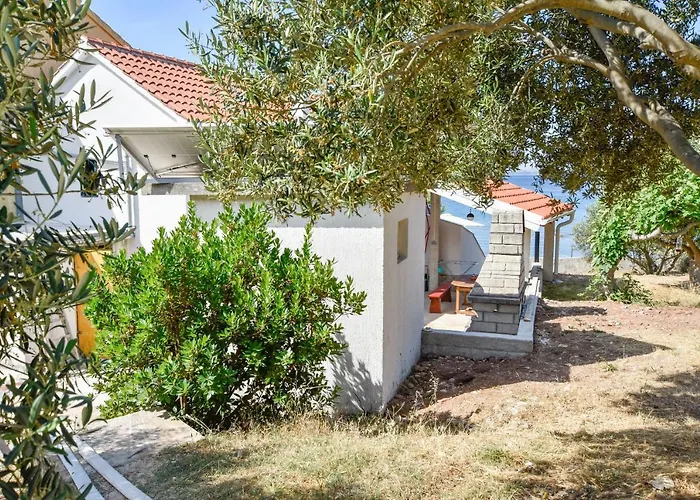 House Pine Shadow Vikendica