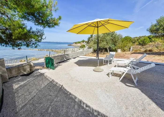 House Pine Shadow Nyaraló Pašman