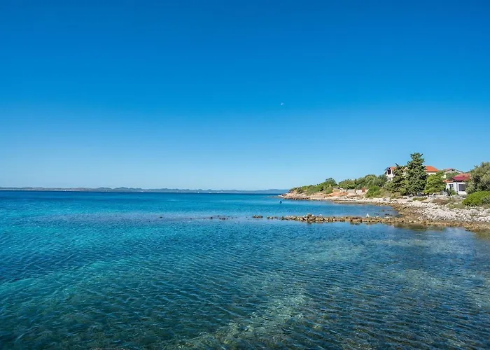 House Pine Shadow Nyaraló Pašman