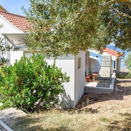 House Pine Shadow Vakantiehuis